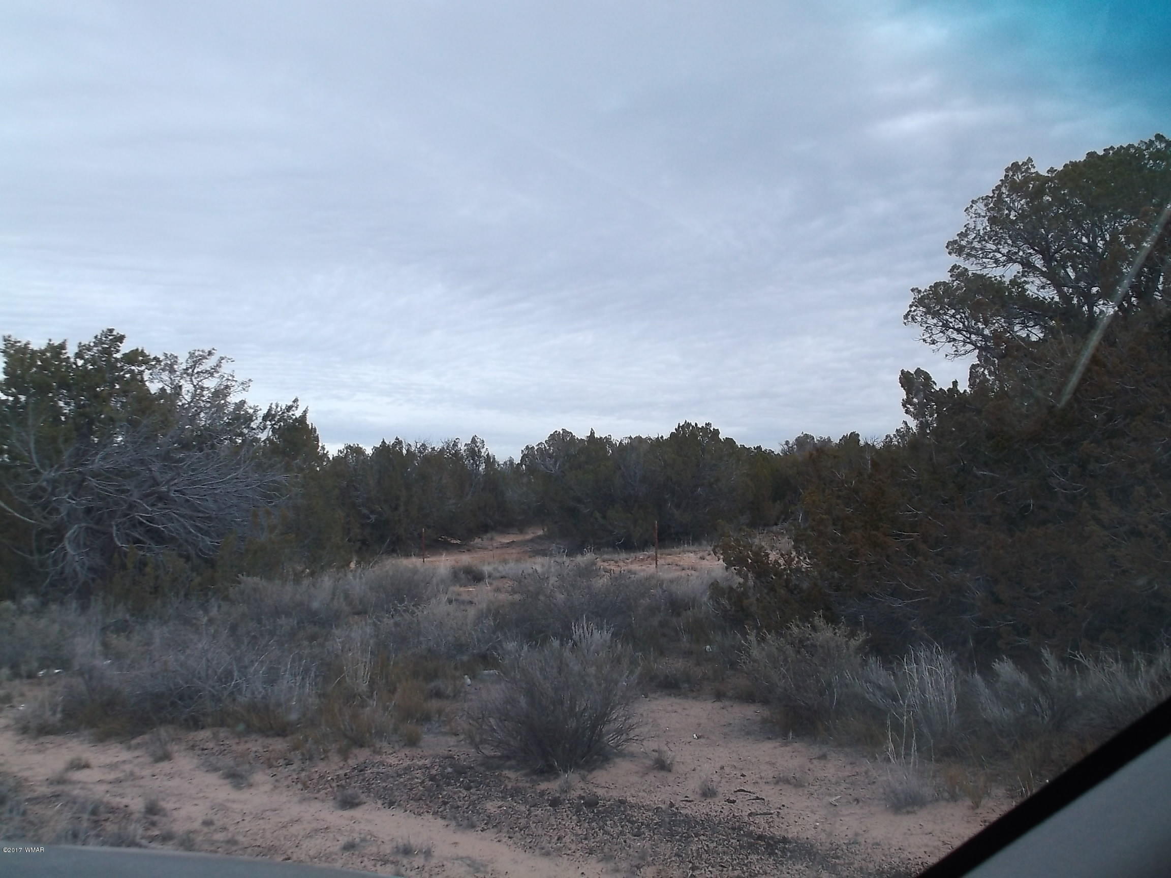 Lot 83 Witch Well Ranch St. Johns, AZ 85936 - Photo 3 of 6