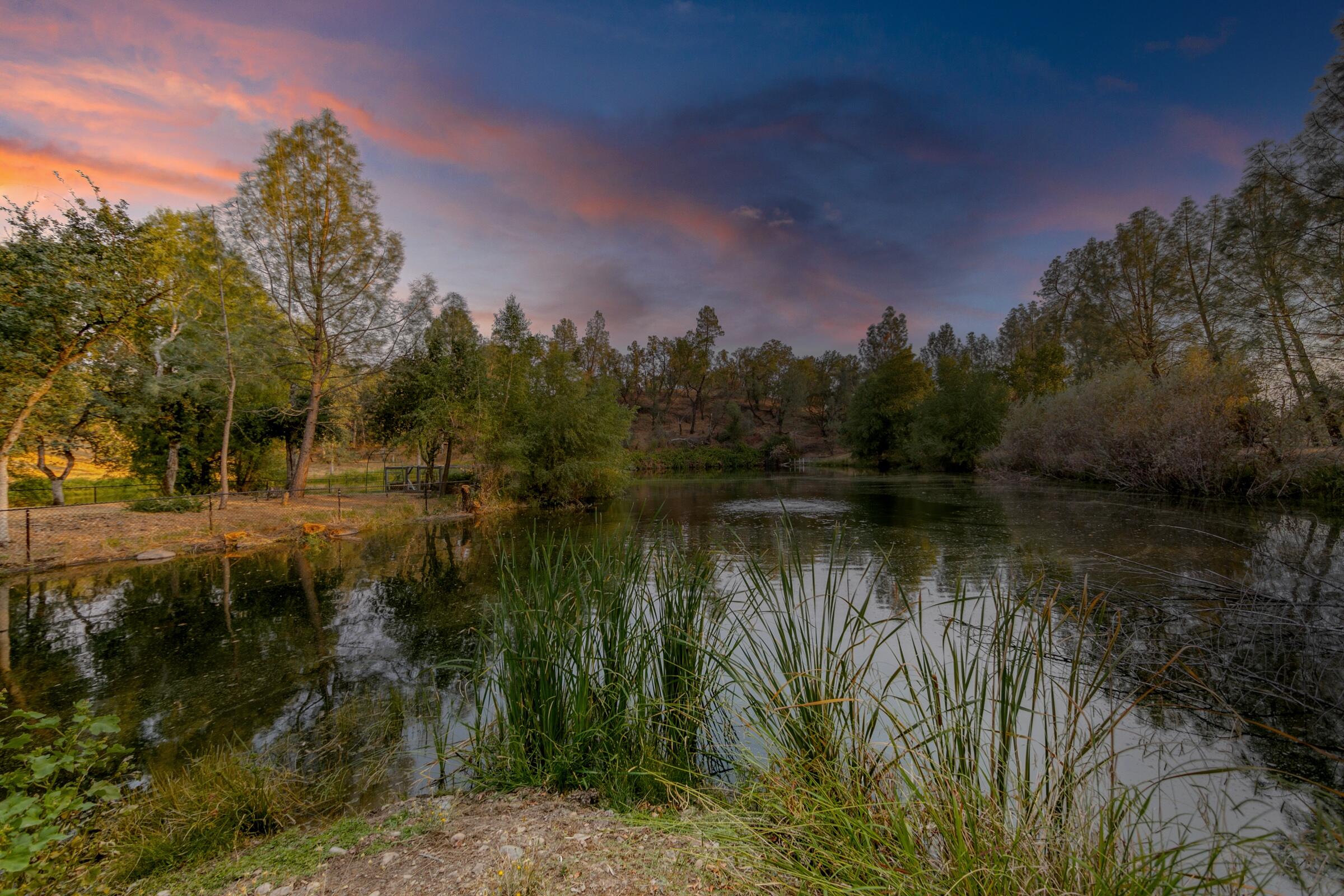 8709 Silver Bridge Road Palo Cedro, CA 96073 - Photo 71 of 88 Pond View