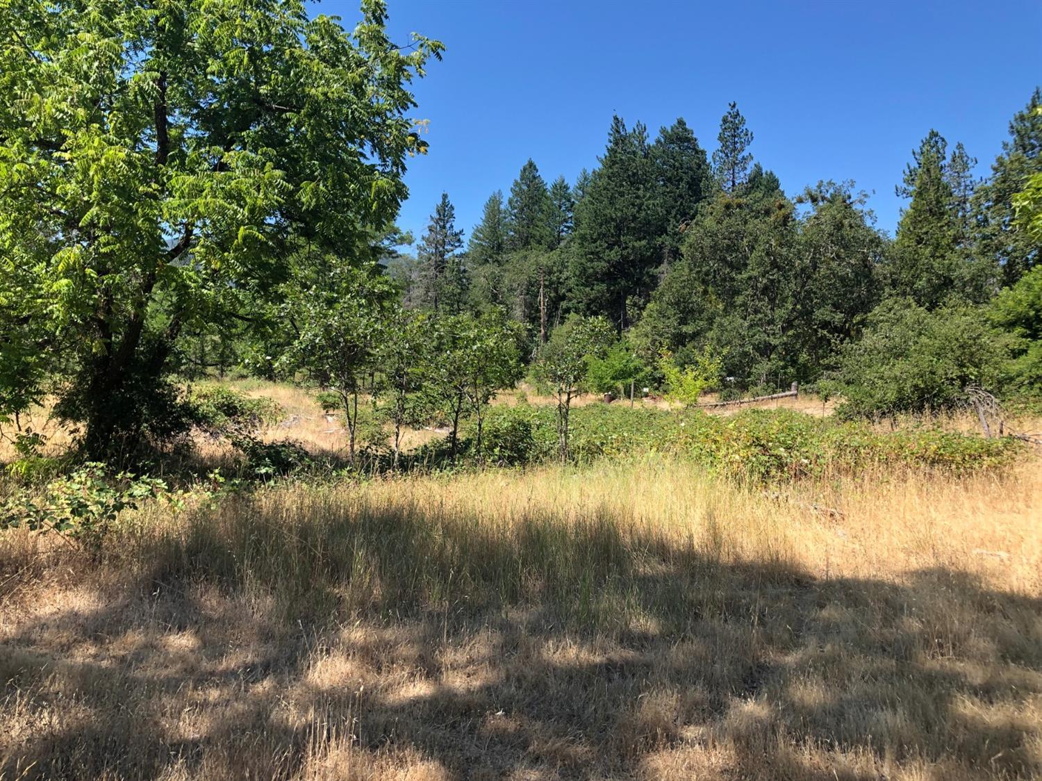 190 Finch Road Kerby, OR 97531 - Photo 13 of 15 Additional Photo