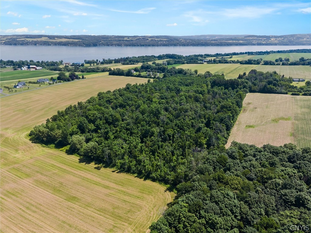 1631 Albring Road Skaneateles, NY 13152 - Photo 46 of 50