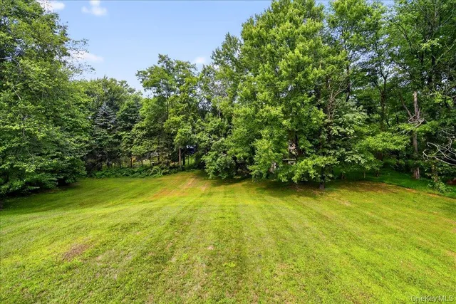 a view of a green yard