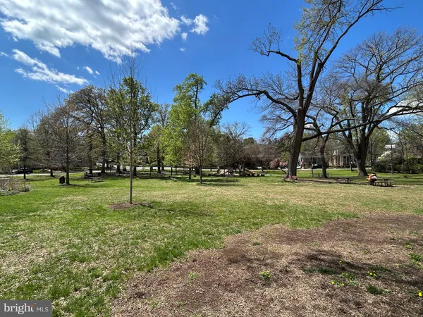 a view of a park that has large trees