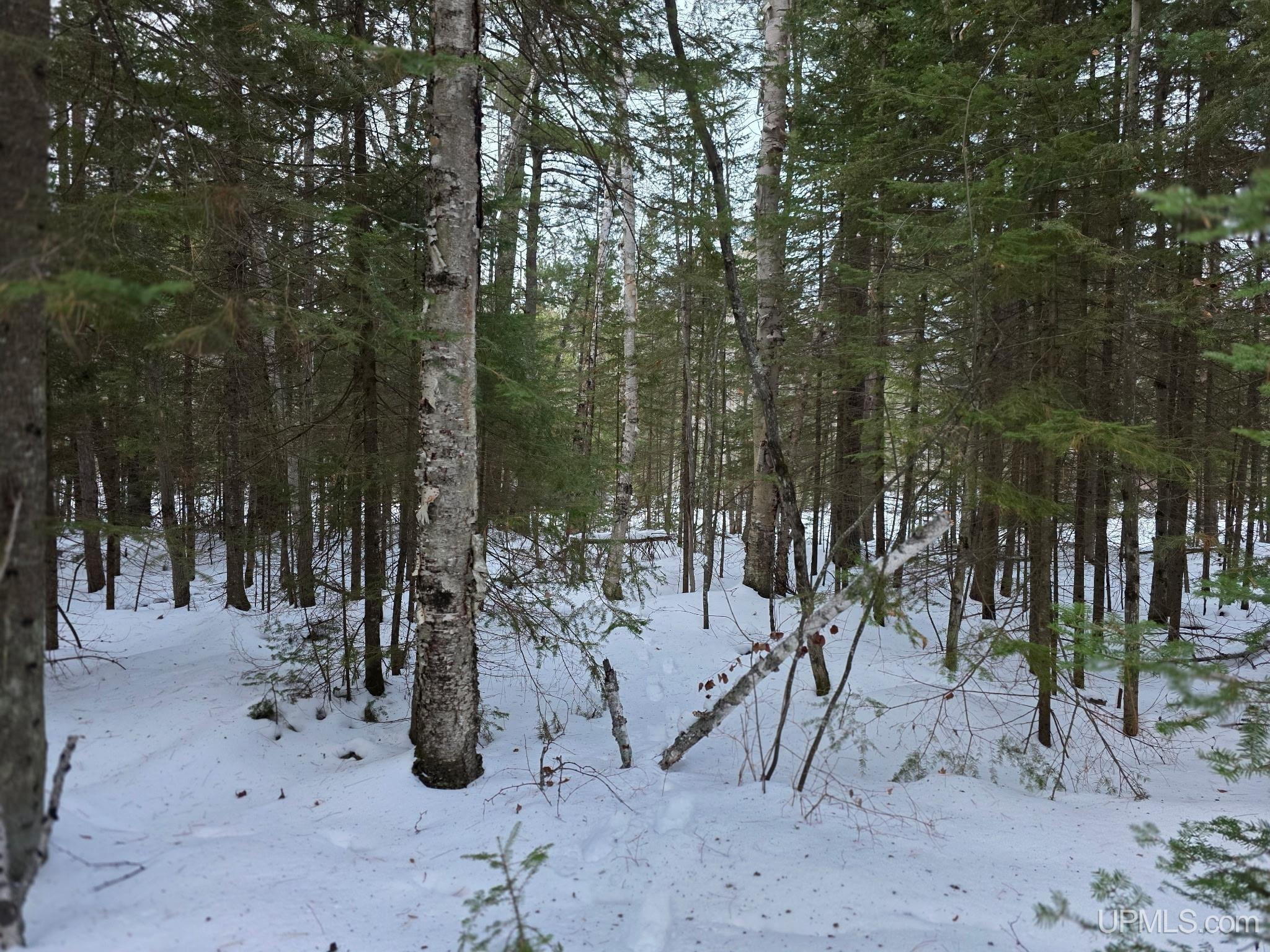 Tbd Sand Lake Road Marquette, MI 49855 - Photo 13 of 13