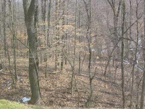 225 Old Scales Road Washington, PA 15301 - Photo 3 of 8 View.