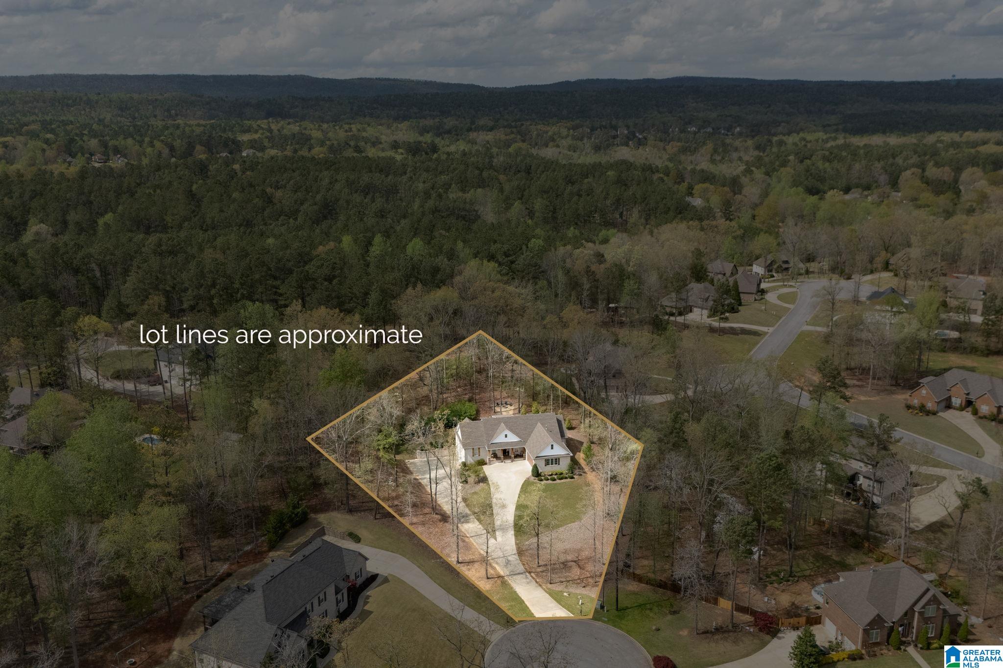 441 South Highland Ridge Lane Chelsea, AL 35043 - Photo 66 of 74