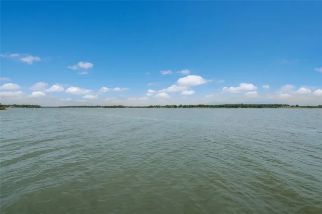 a view of a house with backyard and a tree