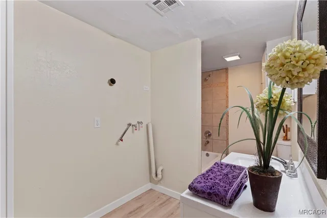 a view of entryway with a potted plant