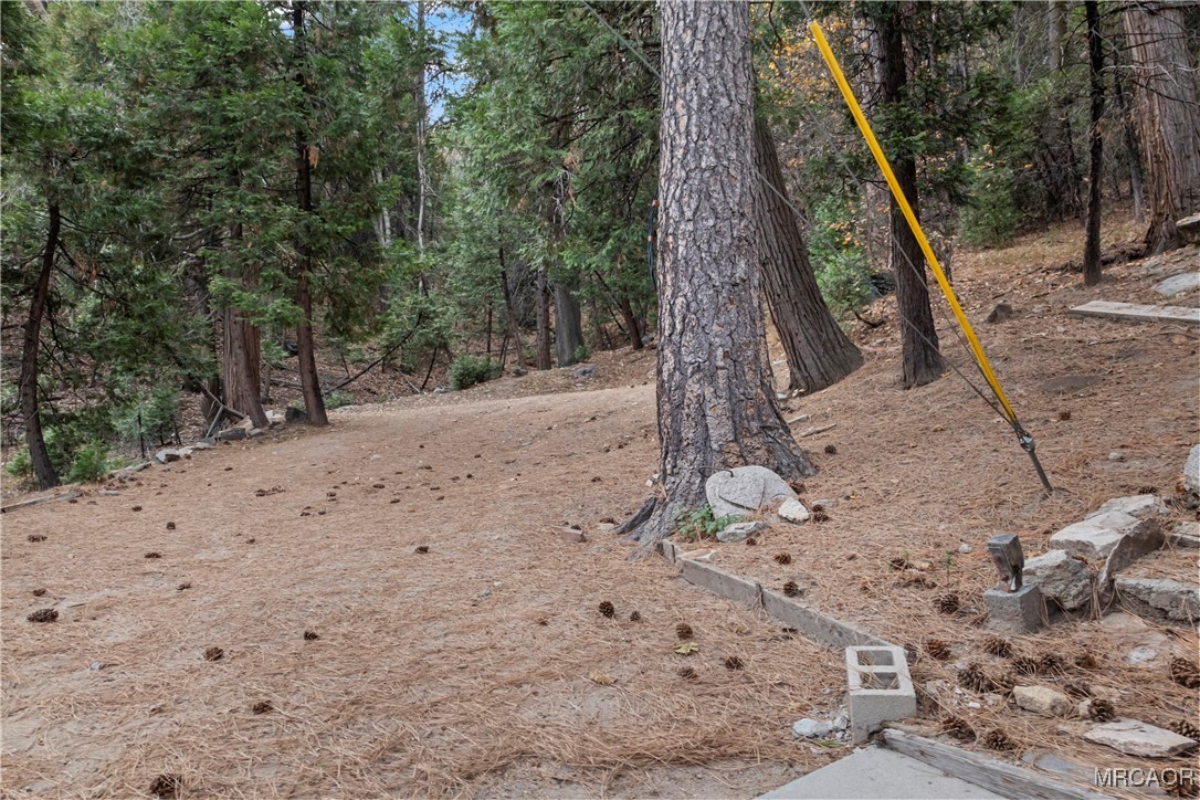 26791 Highway 189 Twin Peaks, CA 92391 - Photo 34 of 39 a view of a yard with a tree