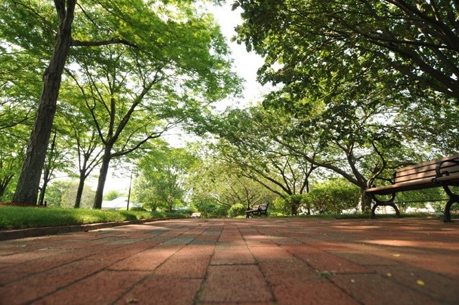 72-74 Chelsea Street, Unit 9 Boston, MA 02128 - Photo 28 of 30