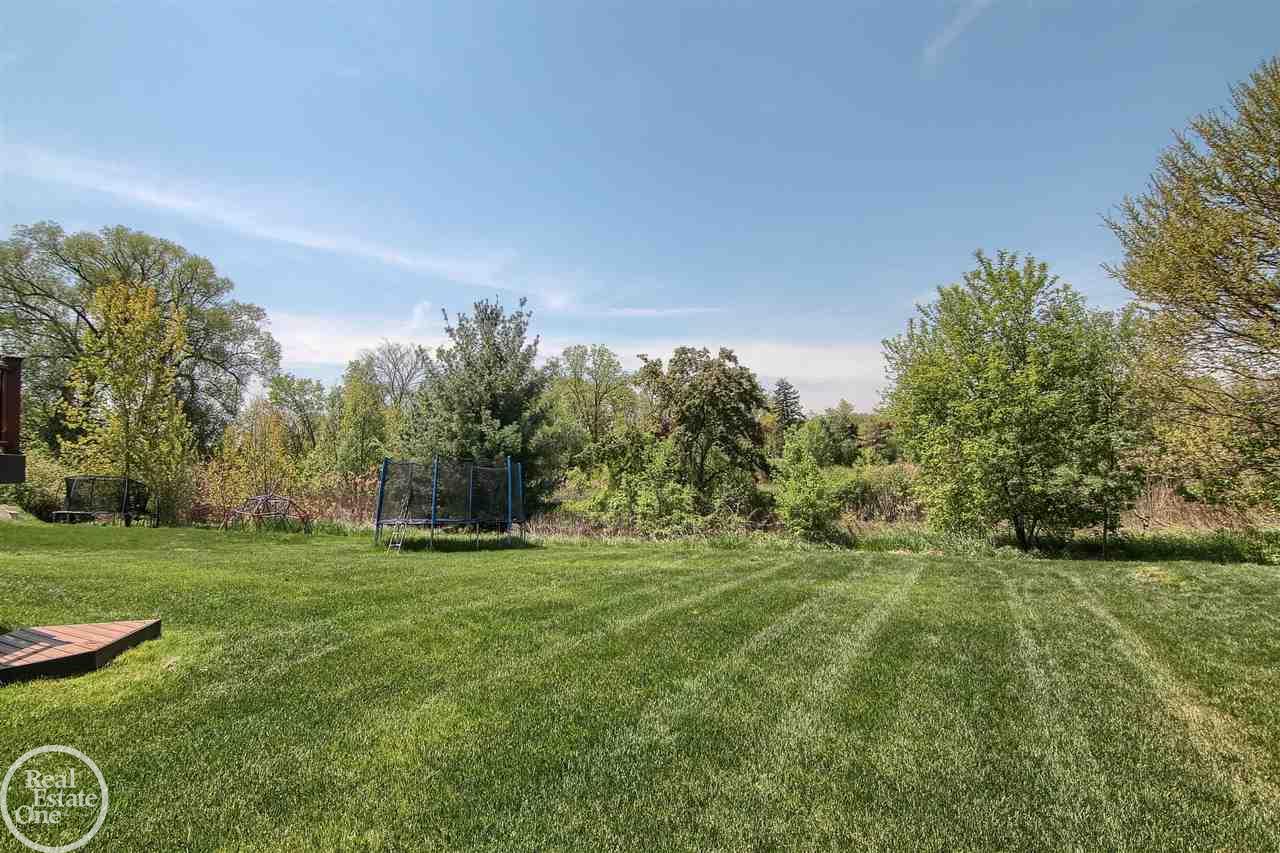 Private Back Yard