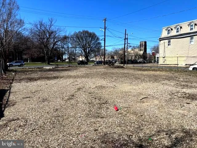 a view of road with large trees