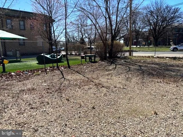 a view of a park with large trees