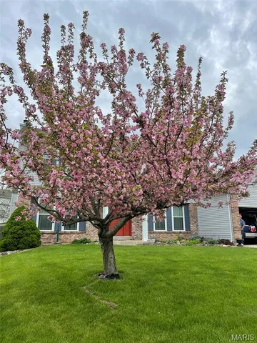 $449,900 | 1011 Treeshade Drive, St. Peters, MO 63376