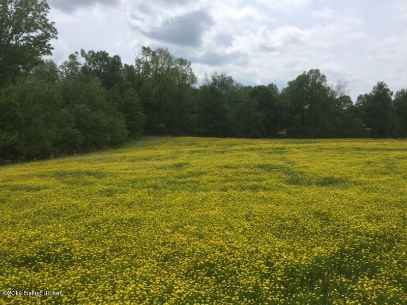0 Knob Road Battletown, KY 40104 - Photo 2 of 4 Photo Apr 30, 2 18 05 PM