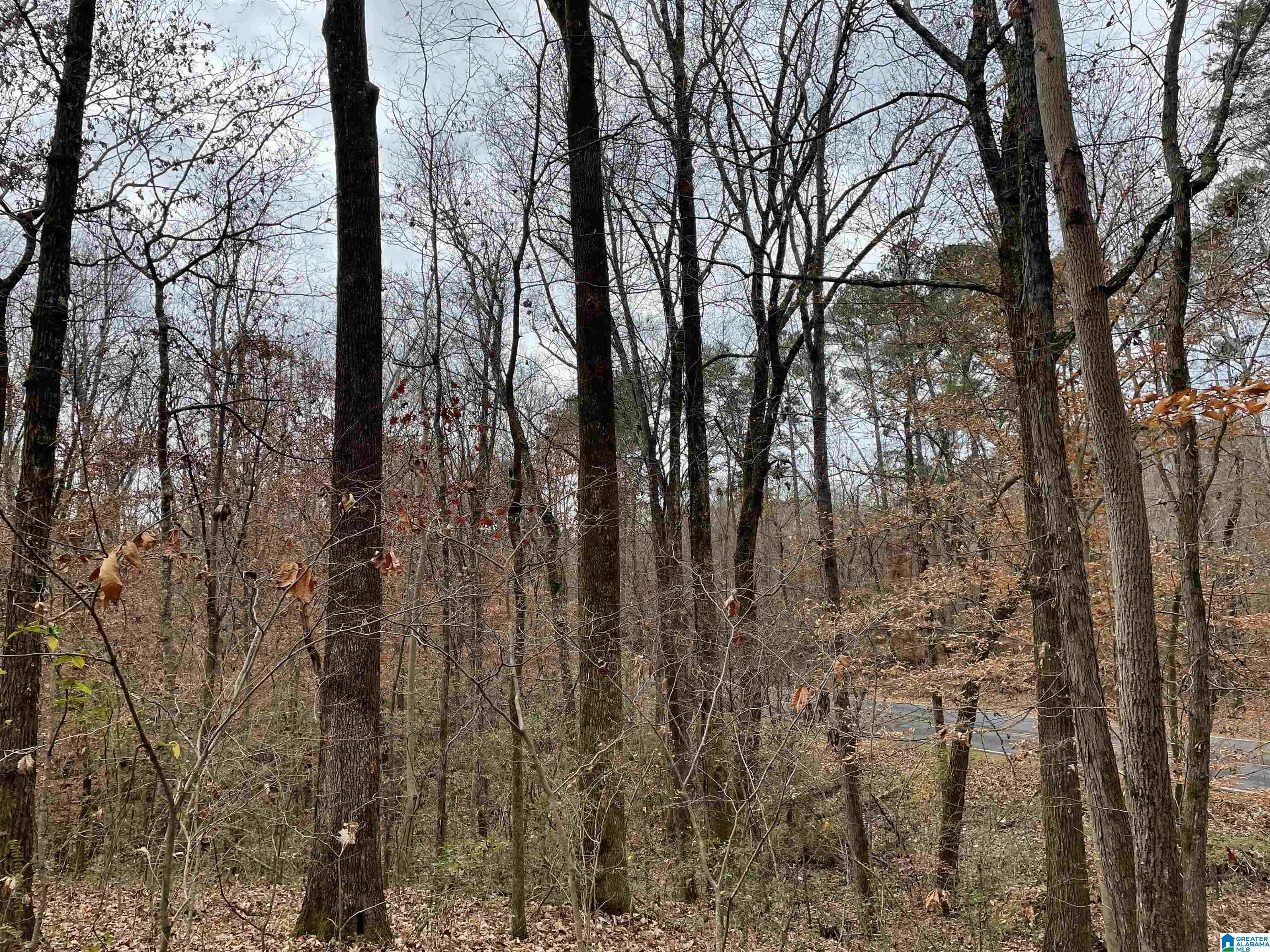 Roberta Road, Unit 14 Birmingham, AL 35214 - Photo 9 of 10 Gallery Image 9
