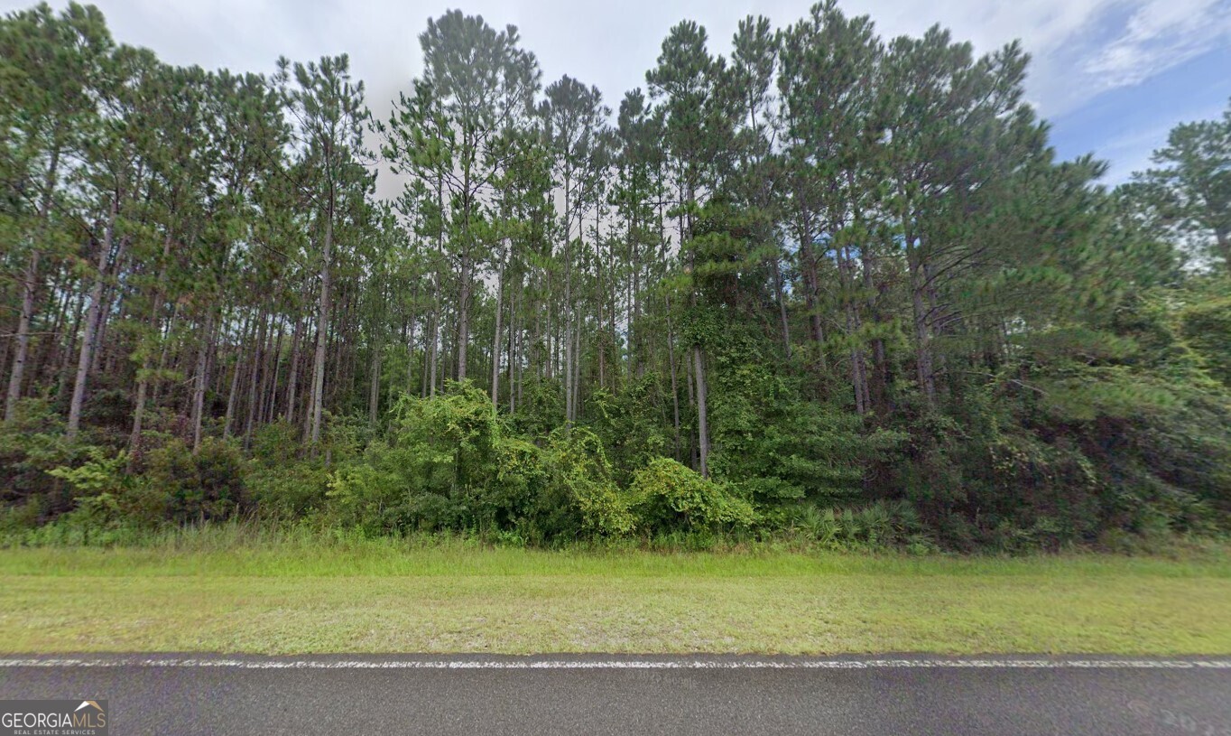 100 Oscar Road White Oak, GA 31568 - Photo 2 of 6