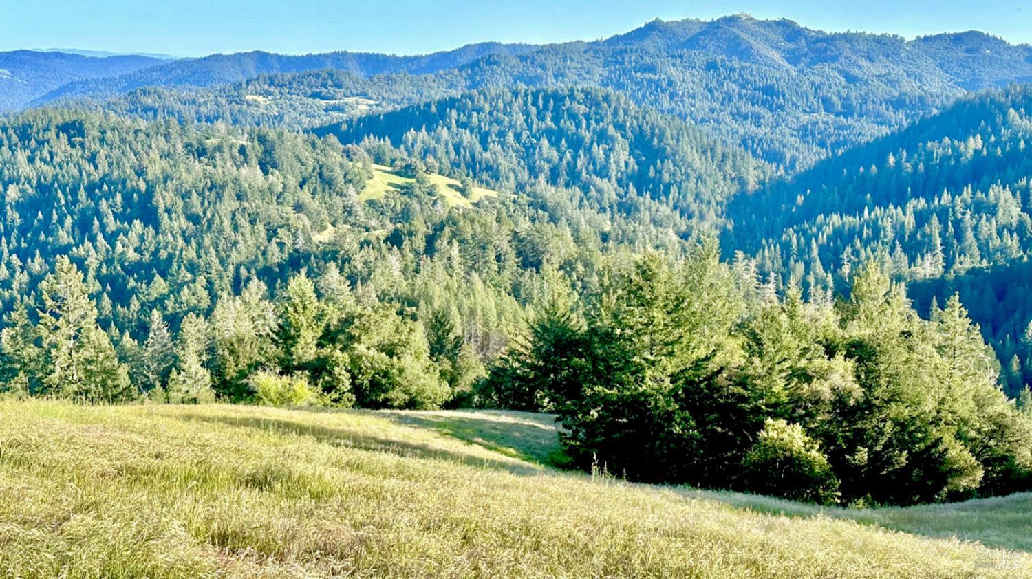 5000 Mohrhardt Ridge Road Cazadero, CA 95421 - Photo 61 of 70
