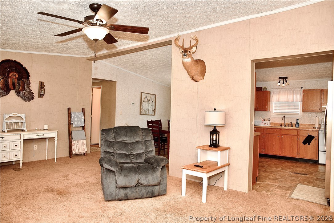 1071 Watts Road Lumberton, NC 28360 - Photo 10 of 31 a living room with furniture and view of bathroom