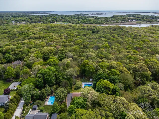 a view of a field with an ocean