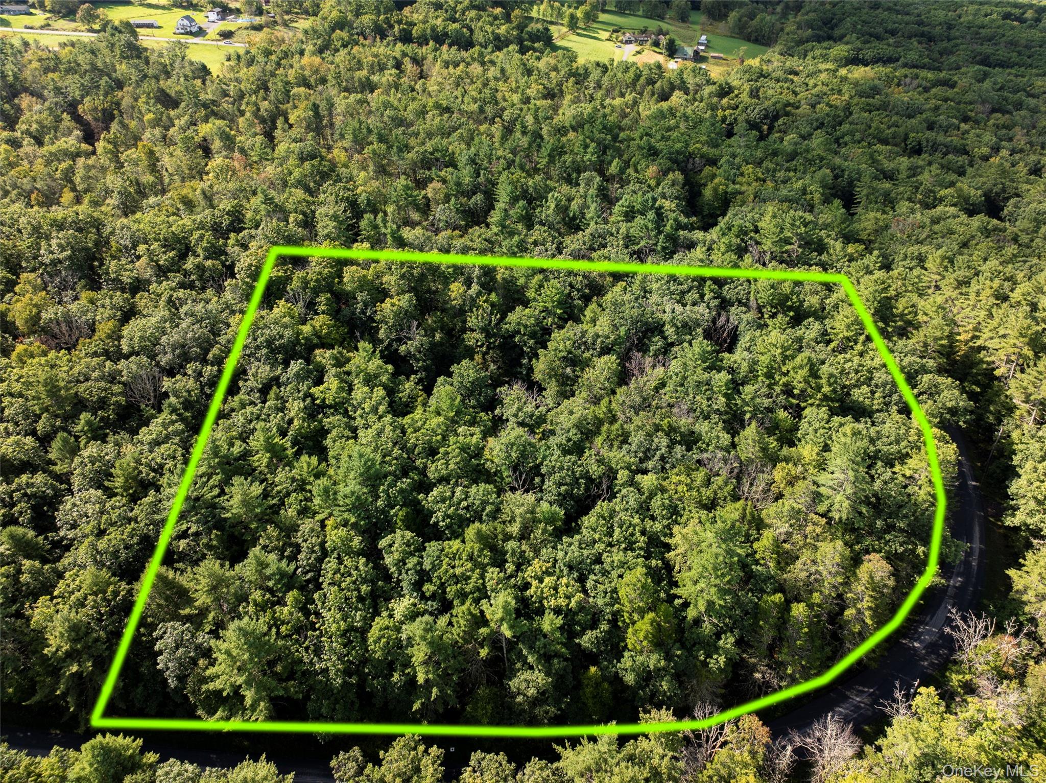 83 Perry Pond Road Narrowsburg, NY 12764 - Photo 1 of 14 Gallery Image 1