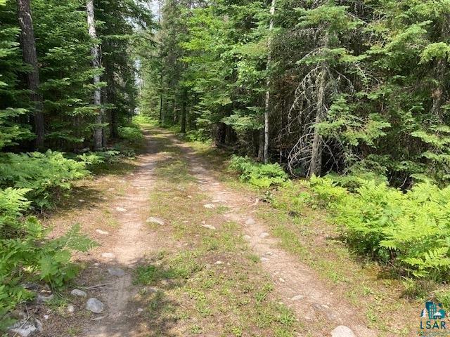 11919 Luna Lake Road Side Lake, MN 55781 - Photo 1 of 23