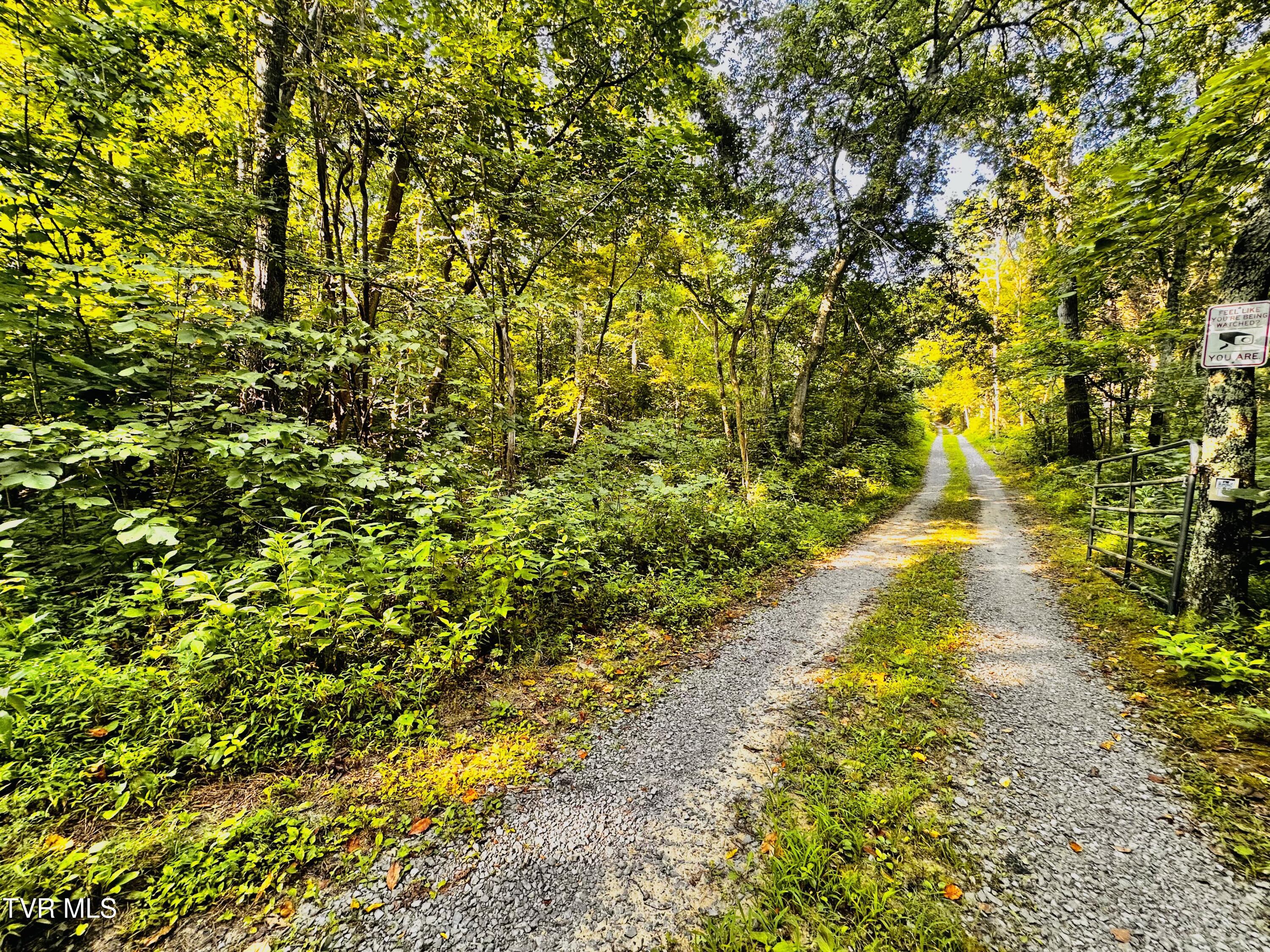 Tbd Tweed Springs Road Greeneville, TN 37743 - Photo 11 of 11 IMG_6731