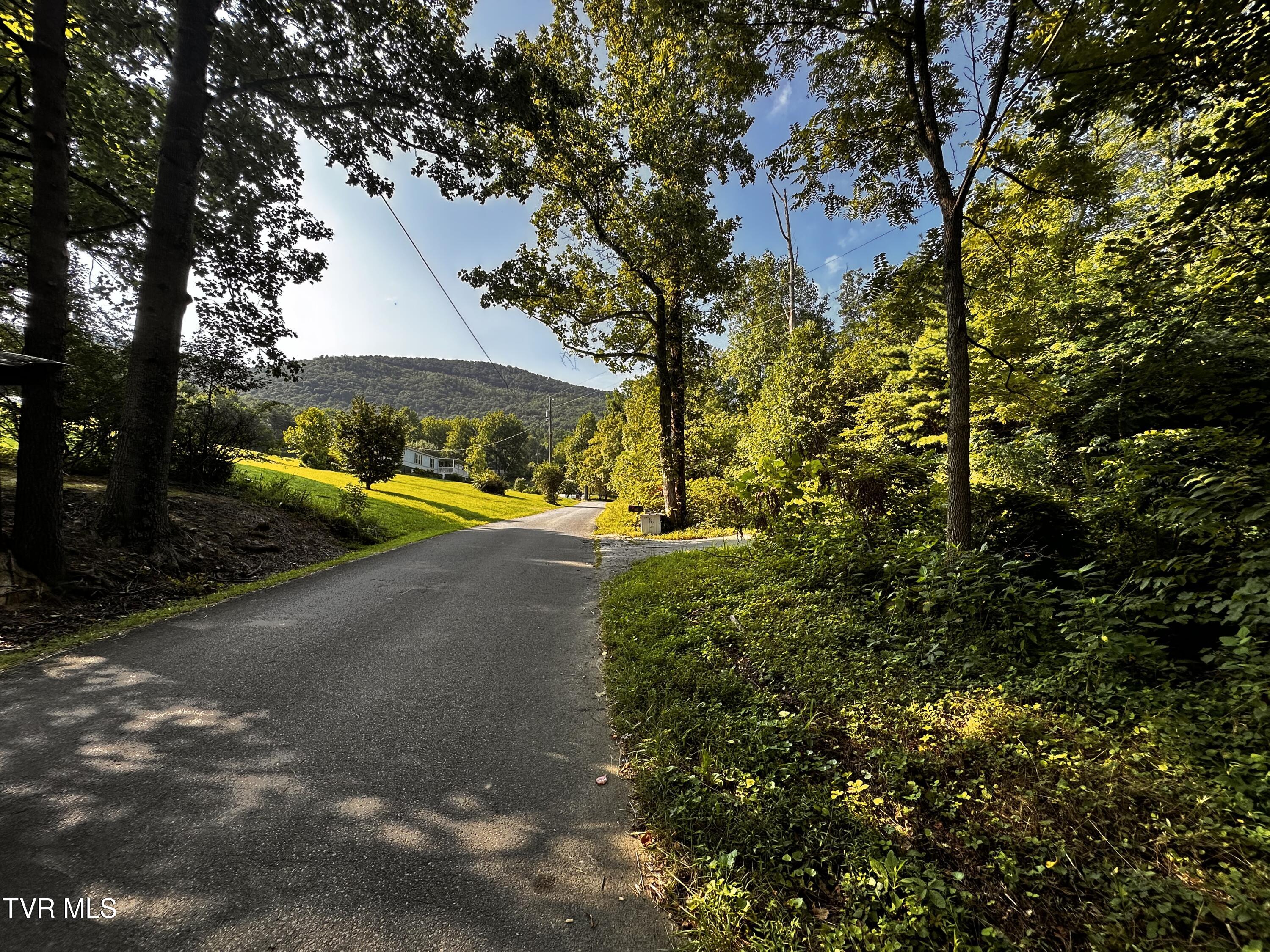 Tbd Tweed Springs Road Greeneville, TN 37743 - Photo 6 of 11 IMG_6735