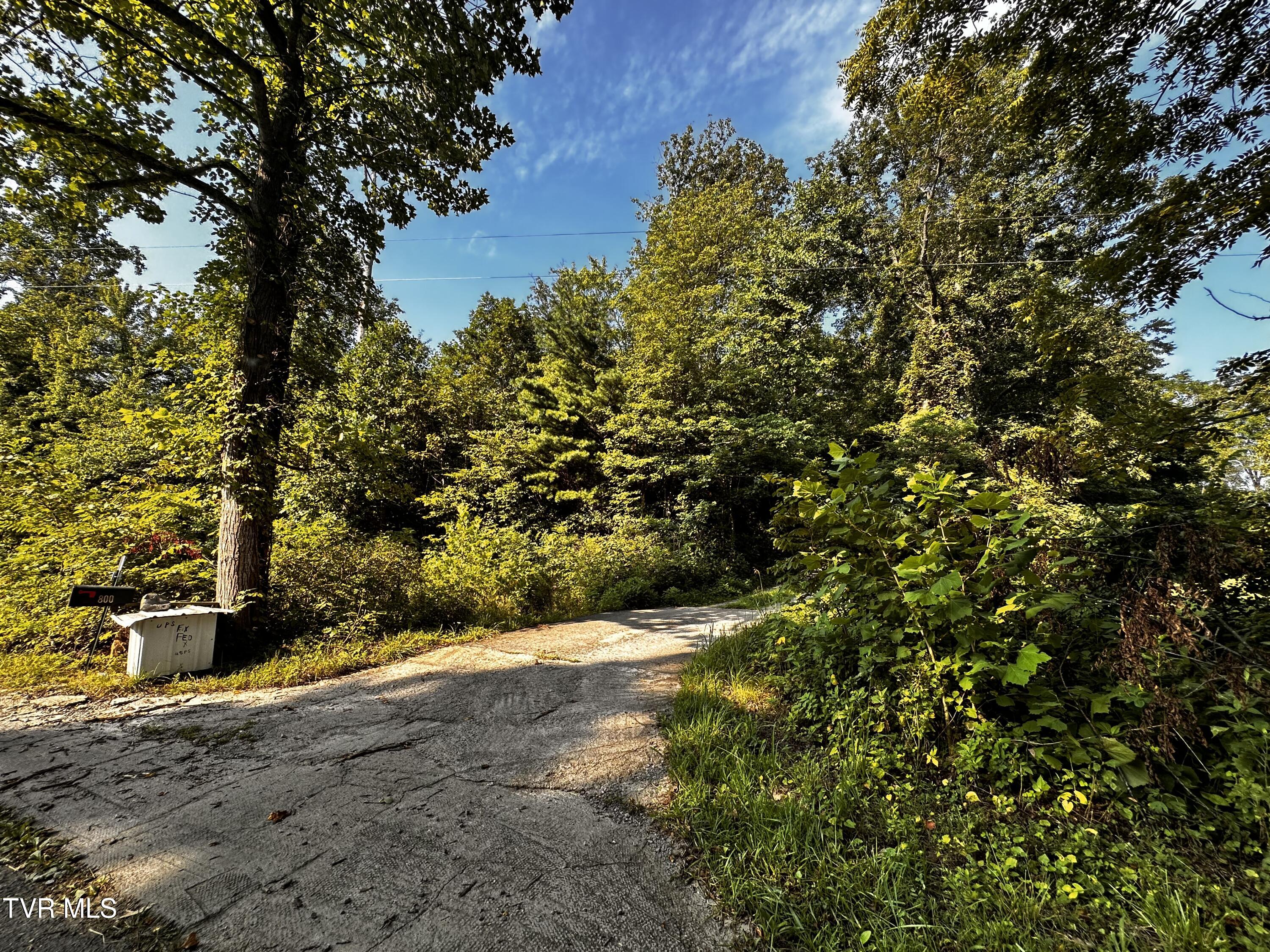 Tbd Tweed Springs Road Greeneville, TN 37743 - Photo 7 of 11 IMG_6736