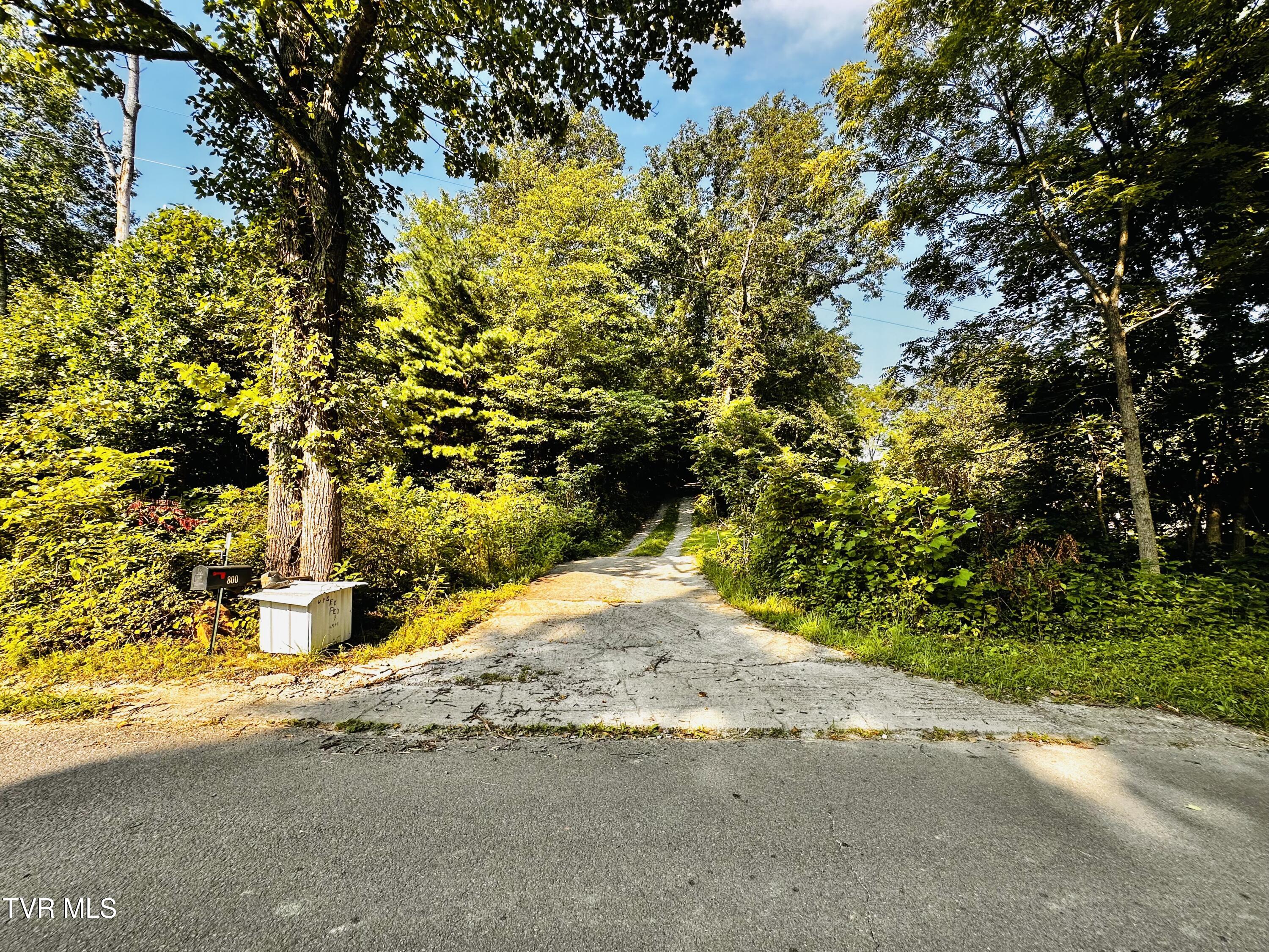 Tbd Tweed Springs Road Greeneville, TN 37743 - Photo 8 of 11 IMG_6734