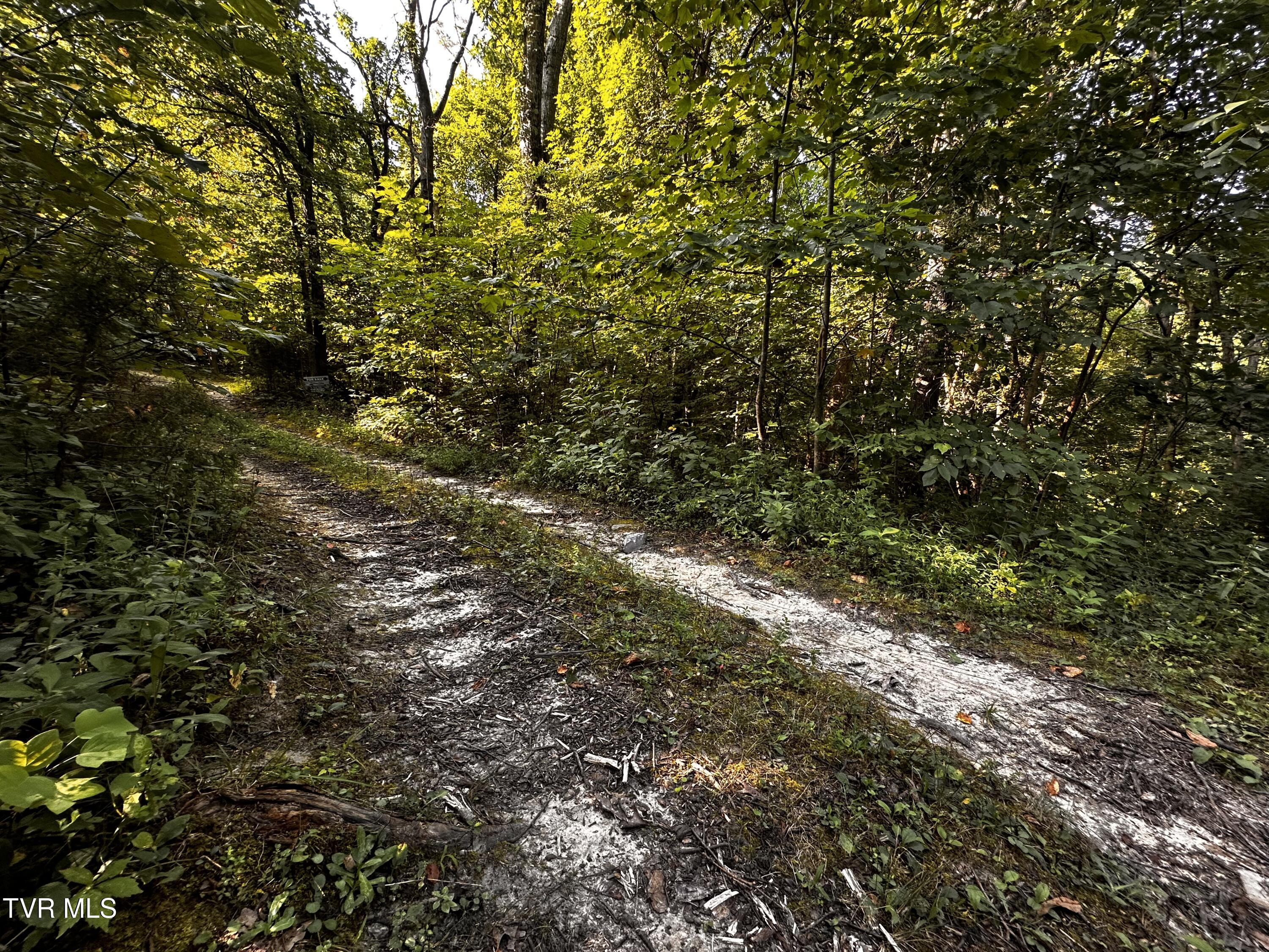 Tbd Tweed Springs Road Greeneville, TN 37743 - Photo 10 of 11 IMG_6728