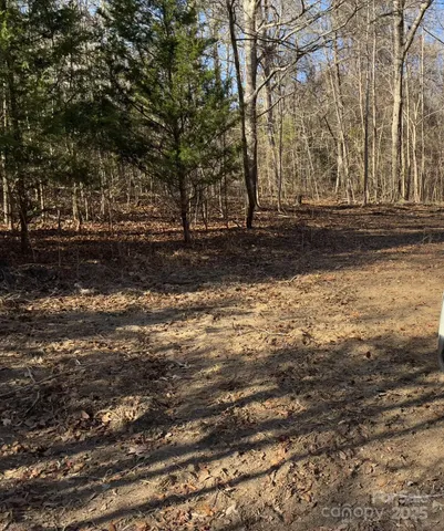 a view of a yard with large trees