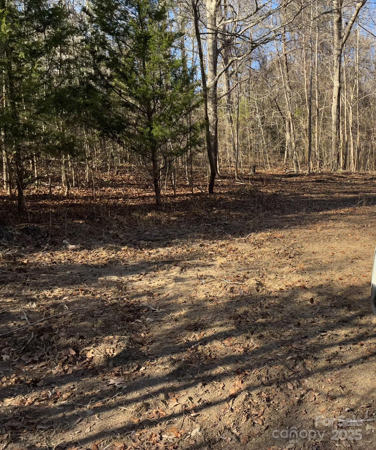 5482 Old Winnsboro Road Great Falls, SC 29055 - Photo 2 of 10 a view of a yard with large trees
