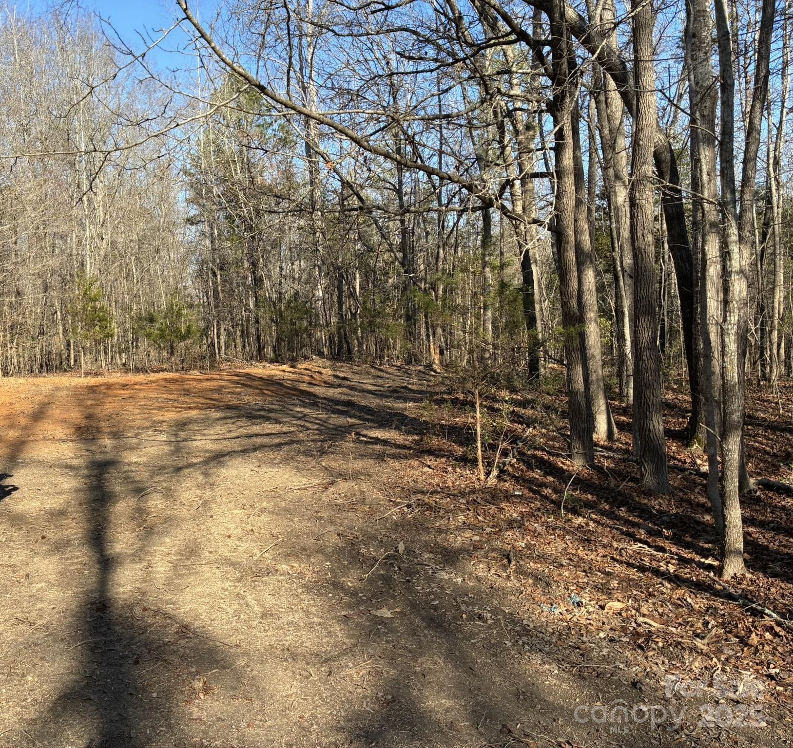 5482 Old Winnsboro Road Great Falls, SC 29055 - Photo 3 of 10 a view of backyard with trees
