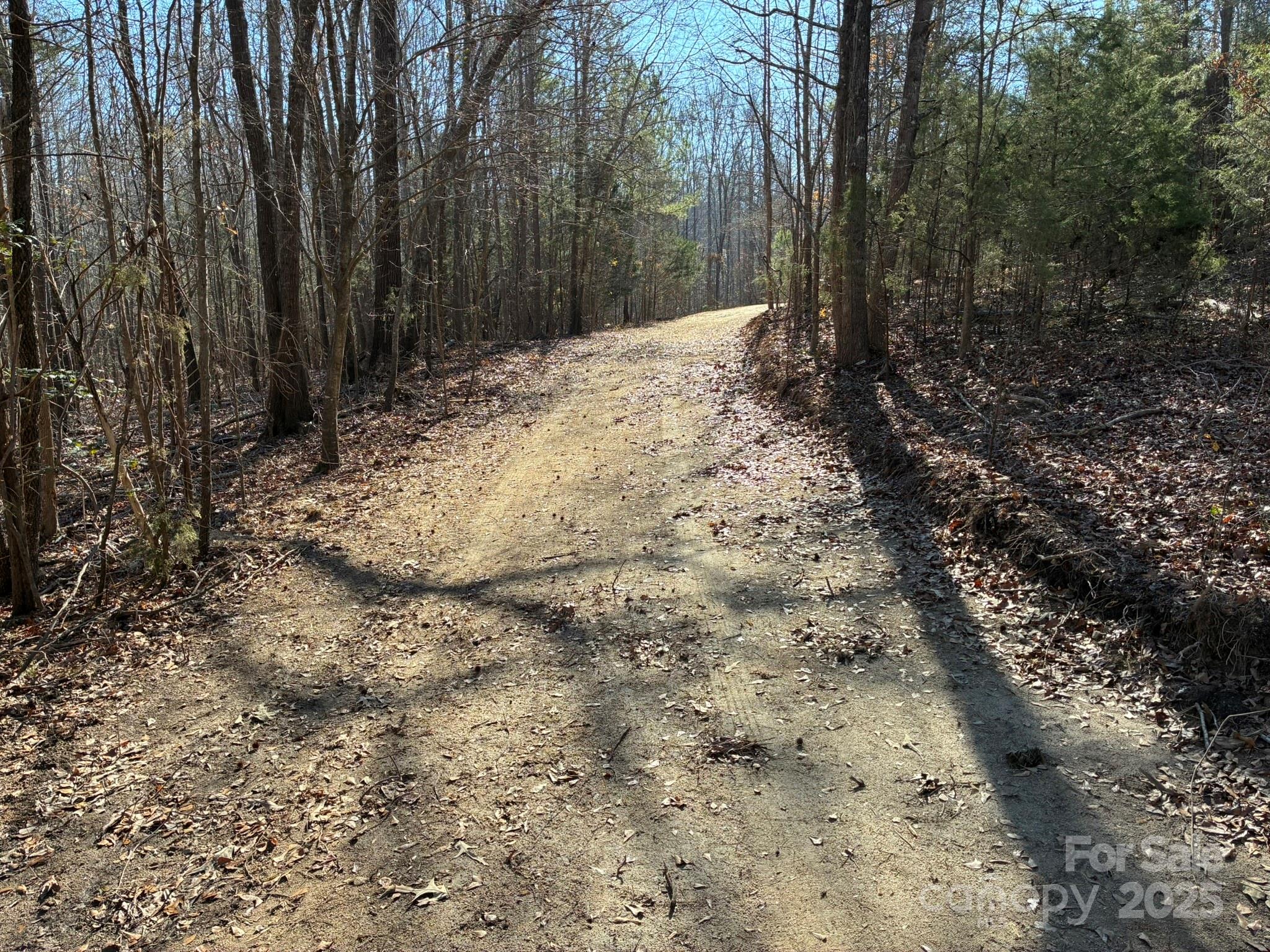 5482 Old Winnsboro Road Great Falls, SC 29055 - Photo 4 of 10 a view of a yard with large trees
