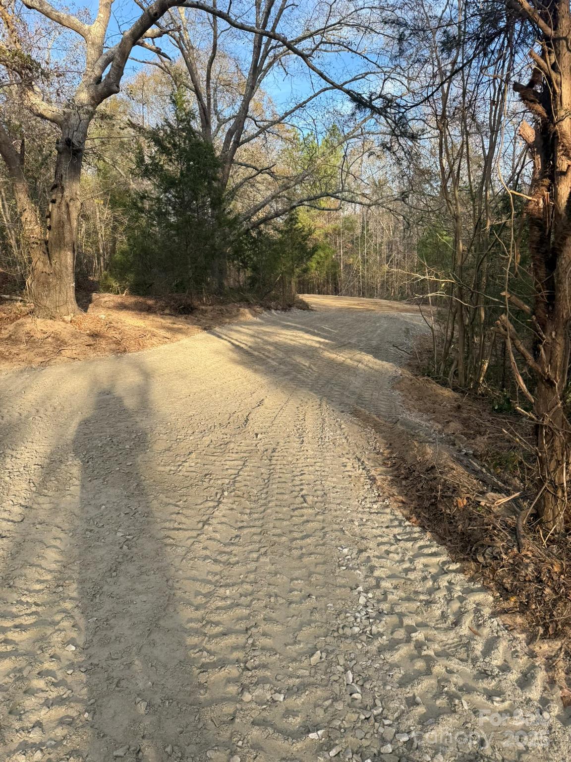 5482 Old Winnsboro Road Great Falls, SC 29055 - Photo 5 of 10 a view of yard covered with snow