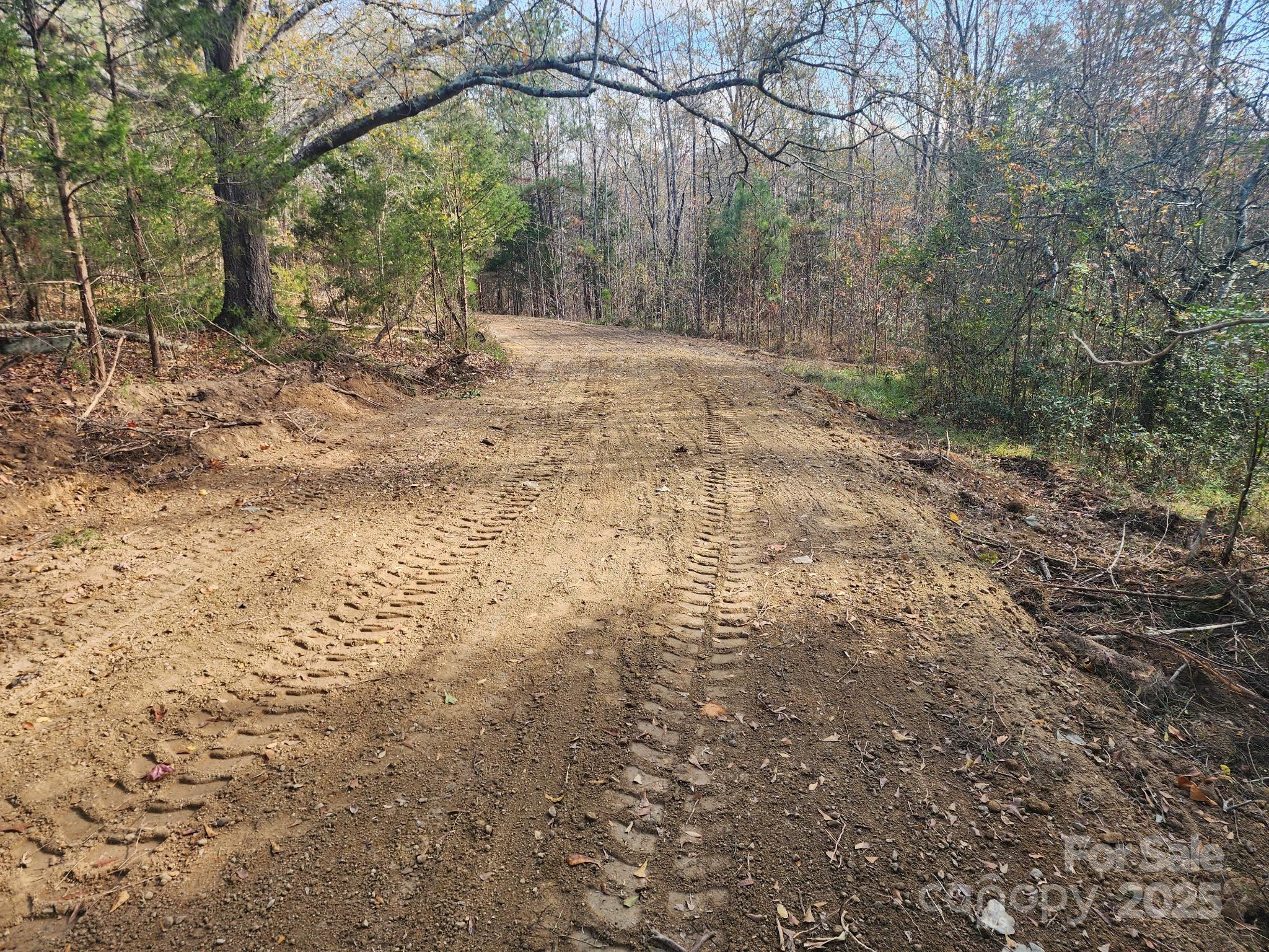 5482 Old Winnsboro Road Great Falls, SC 29055 - Photo 6 of 10 a view of a yard with a tree