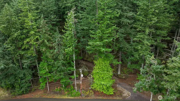 a view of a backyard with potted plants and large trees