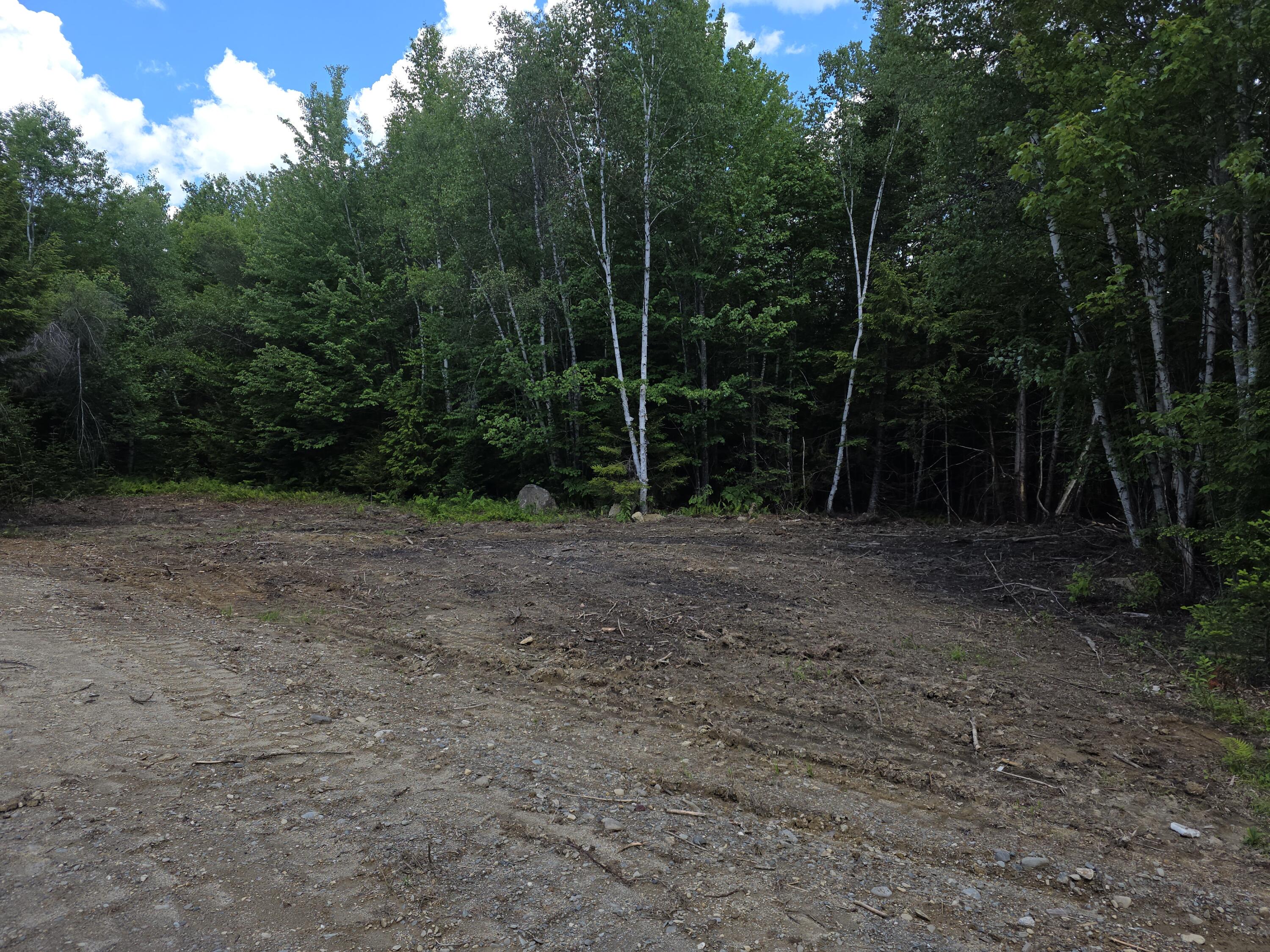 13-off Birch Hl Road Lakeville, ME 04487 - Photo 2 of 5 20260617_115844