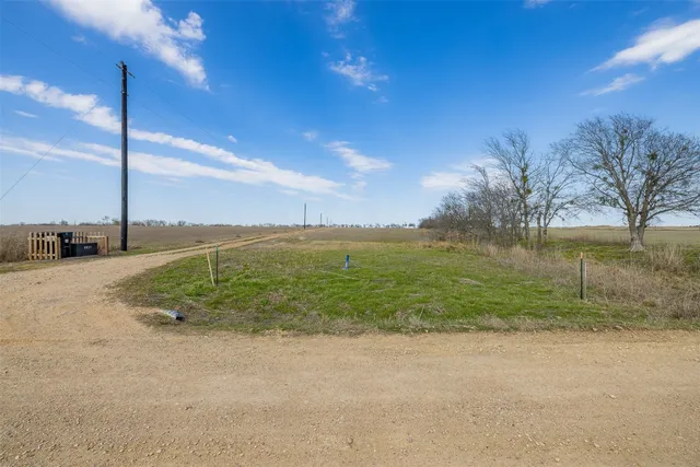 a view of a field with an tree