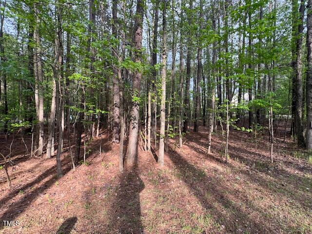 112 Buffalo Drive Spring Hope, NC 27882 - Photo 2 of 28 IMG_4476