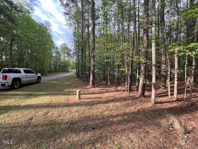 112 Buffalo Drive Spring Hope, NC 27882 - Photo 3 of 28 IMG_4474