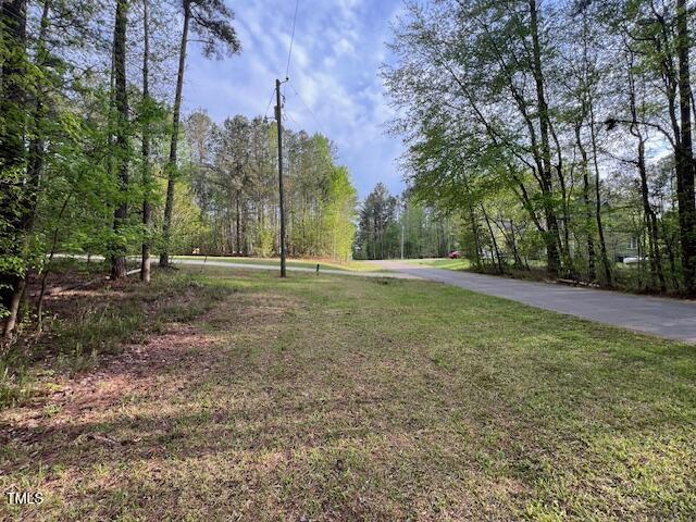 112 Buffalo Drive Spring Hope, NC 27882 - Photo 4 of 28 IMG_4473