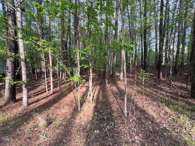 112 Buffalo Drive Spring Hope, NC 27882 - Photo 5 of 28 IMG_4472