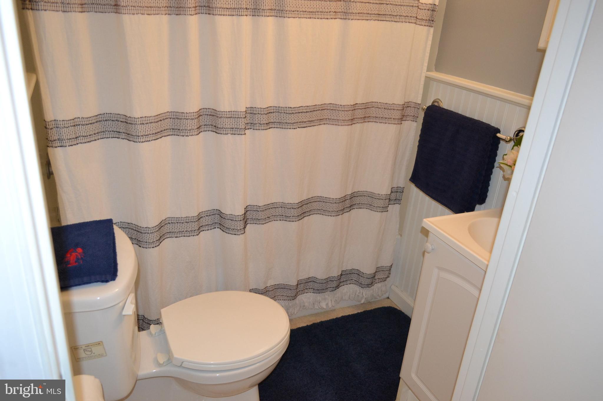 7201 Swagger Road New Hope, PA 18938 - Photo 17 of 33 Shower in Tub