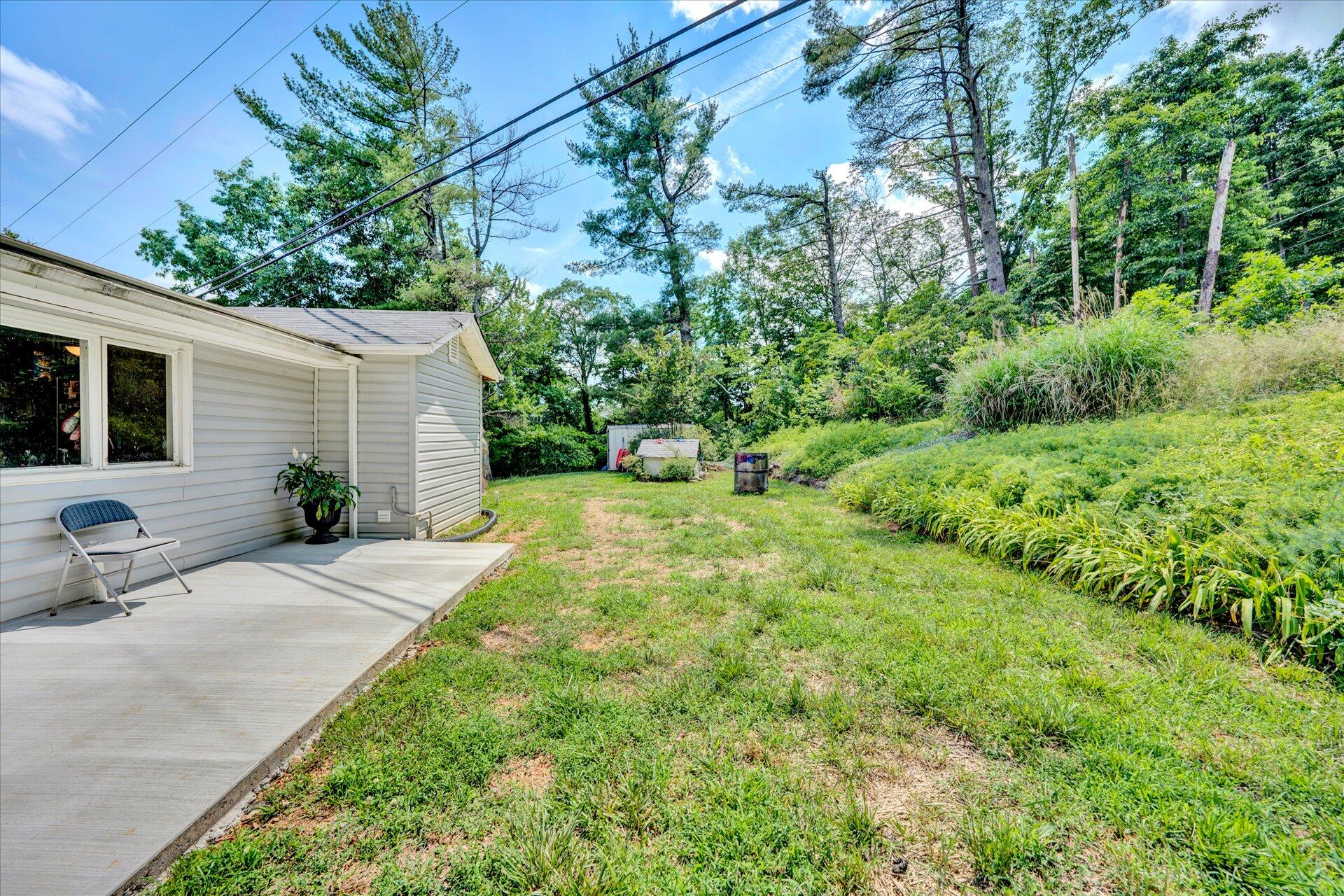 1344 Skyview Road Salem, VA 24153 - Photo 19 of 23 a view of a backyard with plants and large trees