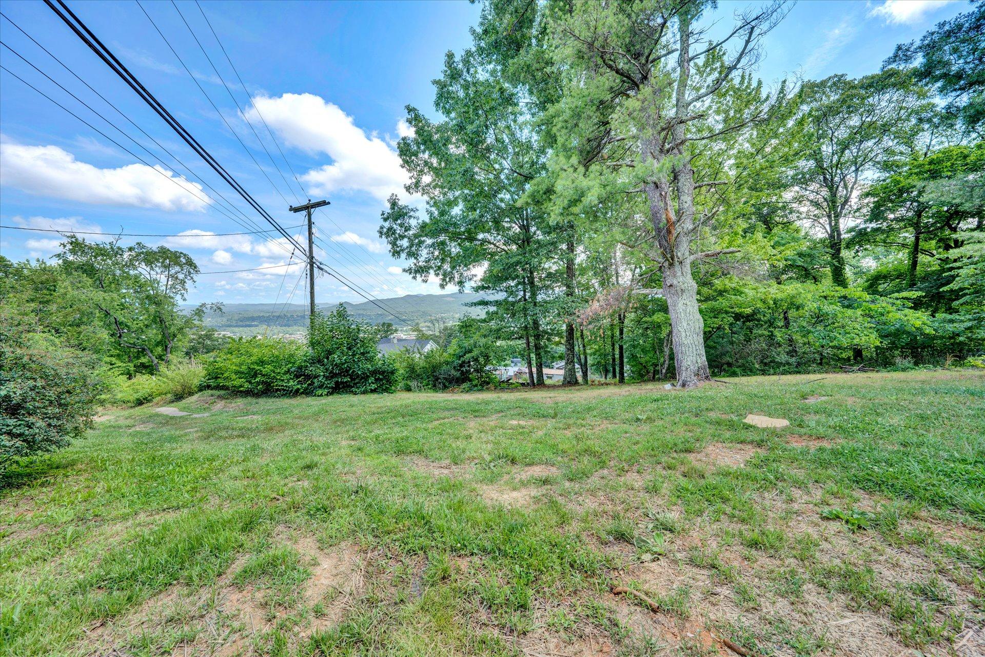 1344 Skyview Road Salem, VA 24153 - Photo 21 of 23 a view of a grassy field with trees in the background