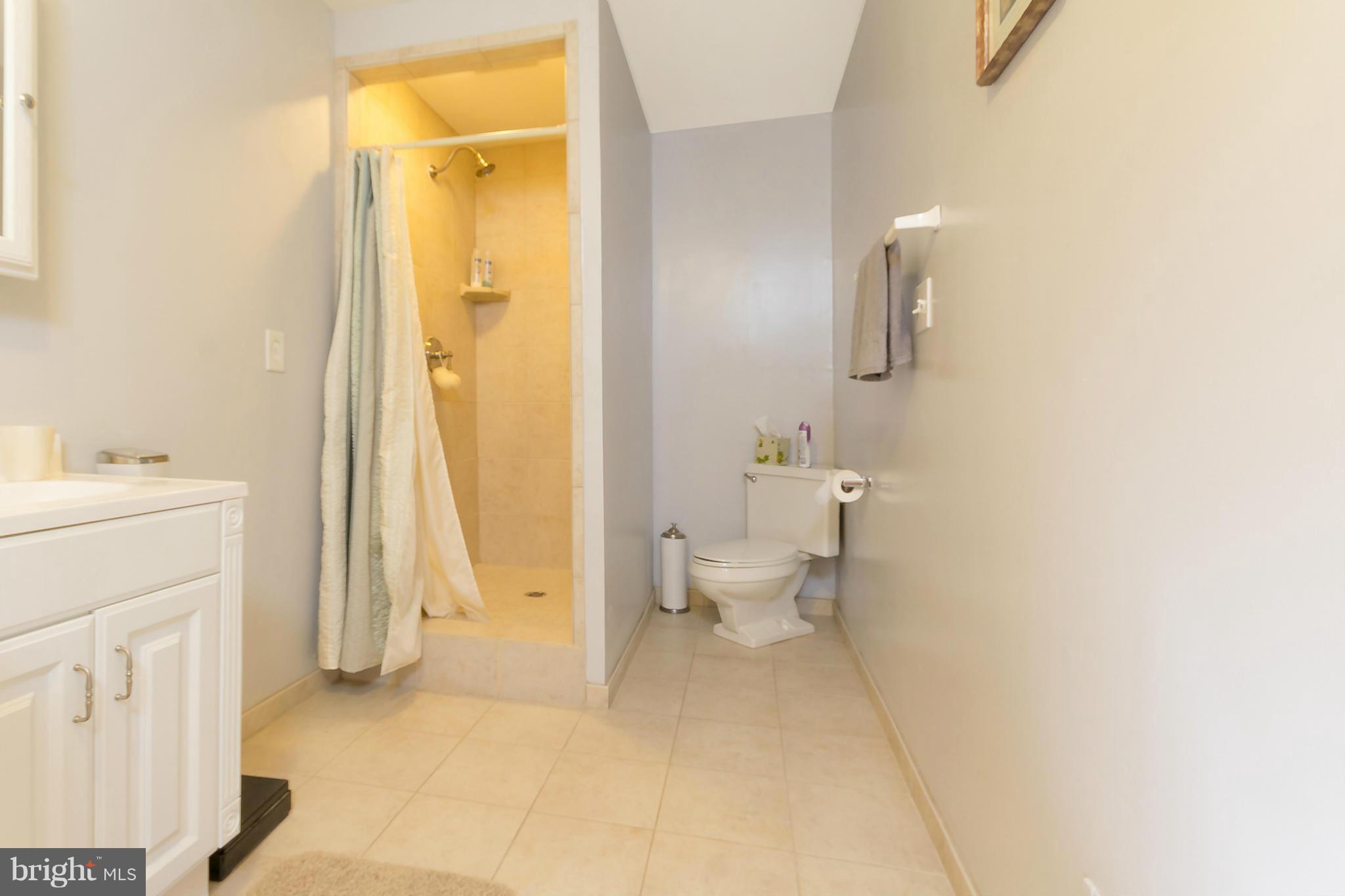 24304 Hanson Road Gaithersburg, MD 20882 - Photo 14 of 17 Lower level