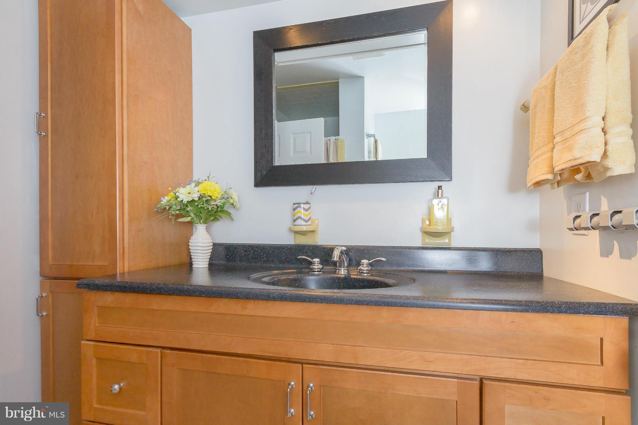 24304 Hanson Road Gaithersburg, MD 20882 - Photo 7 of 17 Bath (Master)