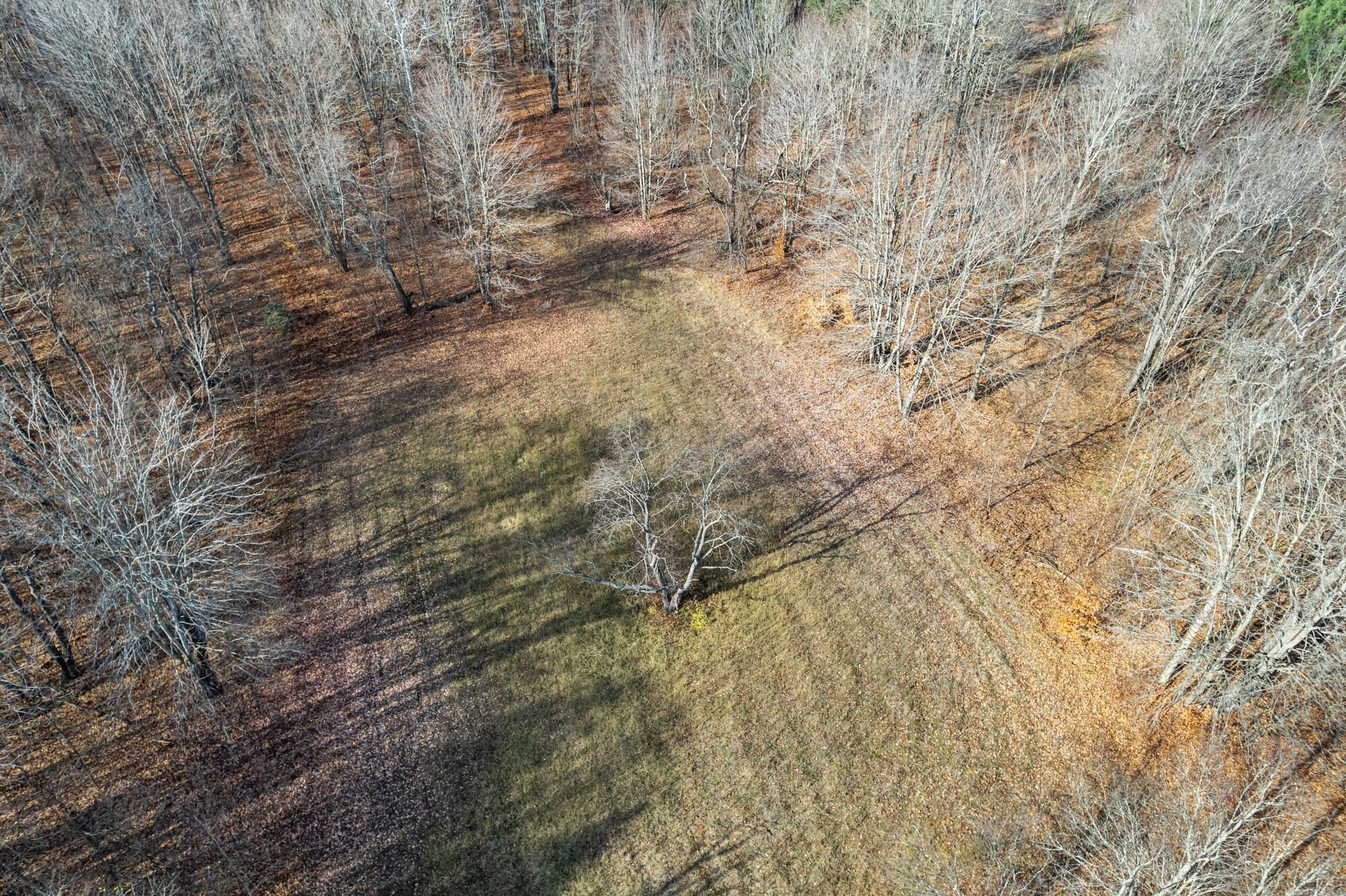 9393 Watson Road Wolverine, MI 49799 - Photo 23 of 28 Gallery Image 23
