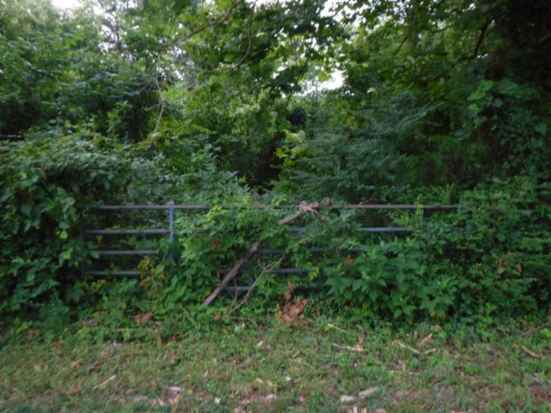 6 Falling Water Road Cookeville, TN 38506 - Photo 1 of 13 Gallery Image 1